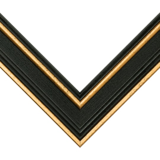 Frame USA Olympic Gold Single Image Picture Frame